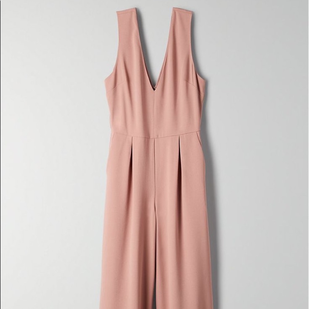 Aritzia Babaton Marcus Jumpsuit In Camille Gem